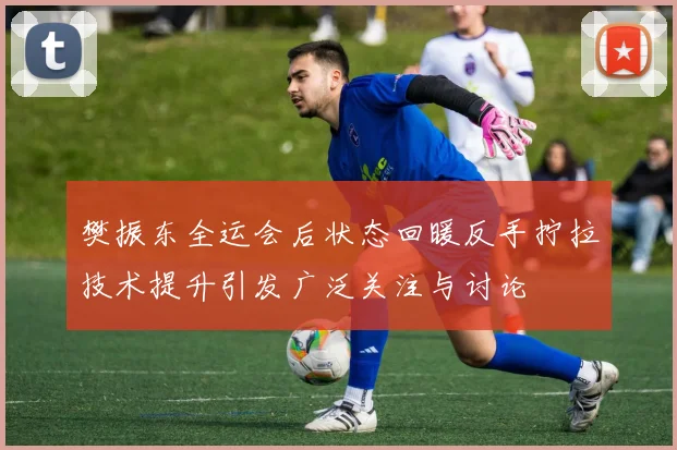 樊振东全运会后状态回暖反手拧拉技术提升引发广泛关注与讨论