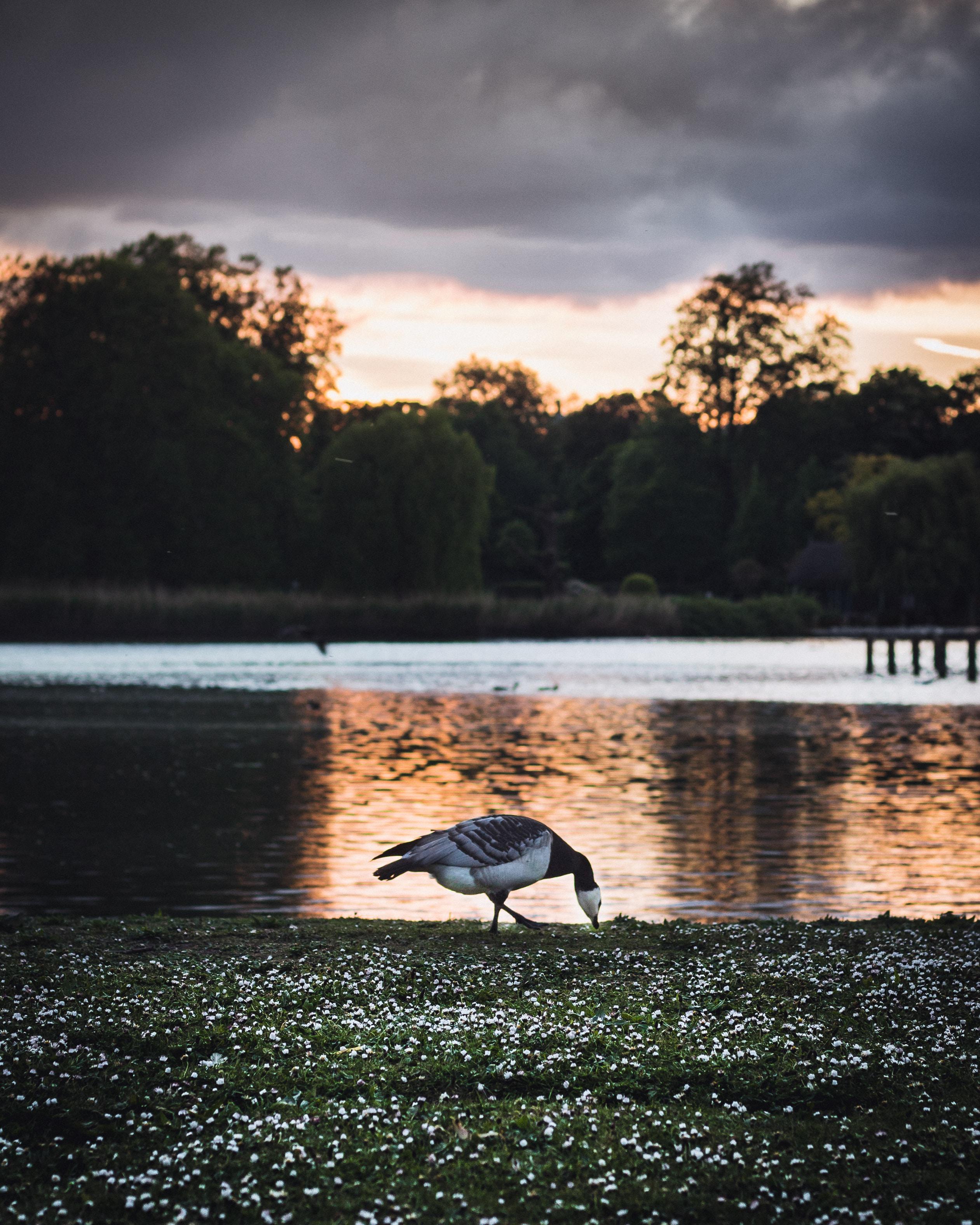 cycling around regents park